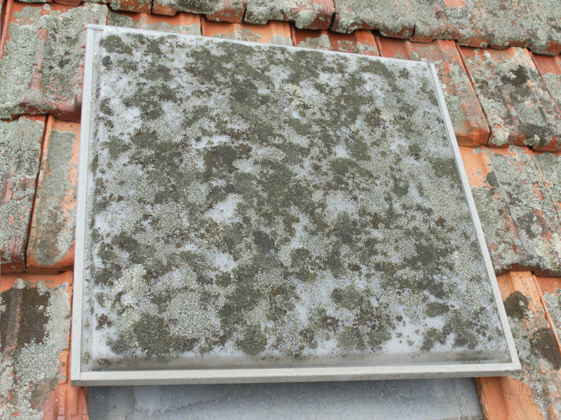 Applying Moss Treatment near skylight