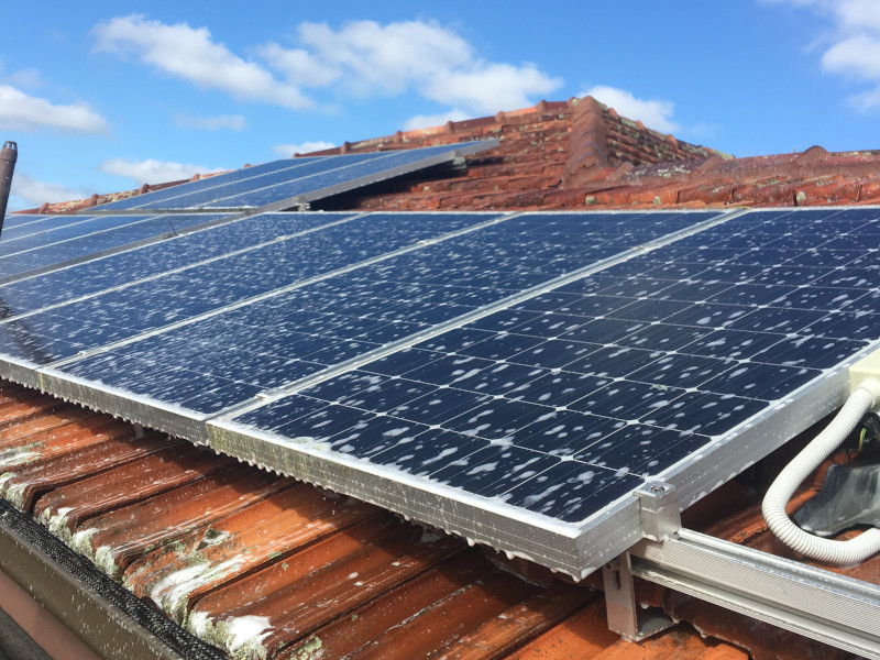 Applying Moss Treatment on solar panels