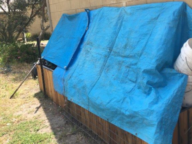 Covering nearby plants to protect from overspray