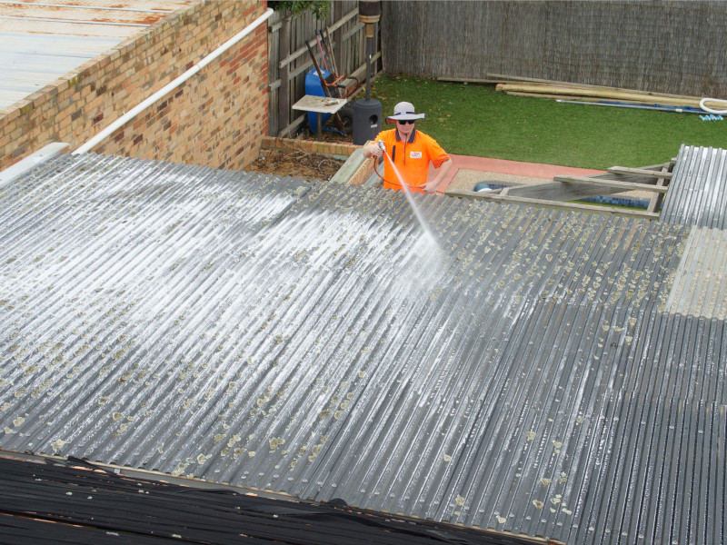 Saturating moss with Moss Roof Treatment solution