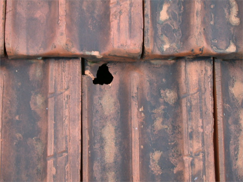 Broken terracotta tiles caused by high pressure cleaning