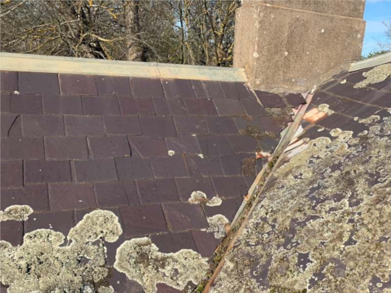 Brittle slate roof showing moss growth before treatment