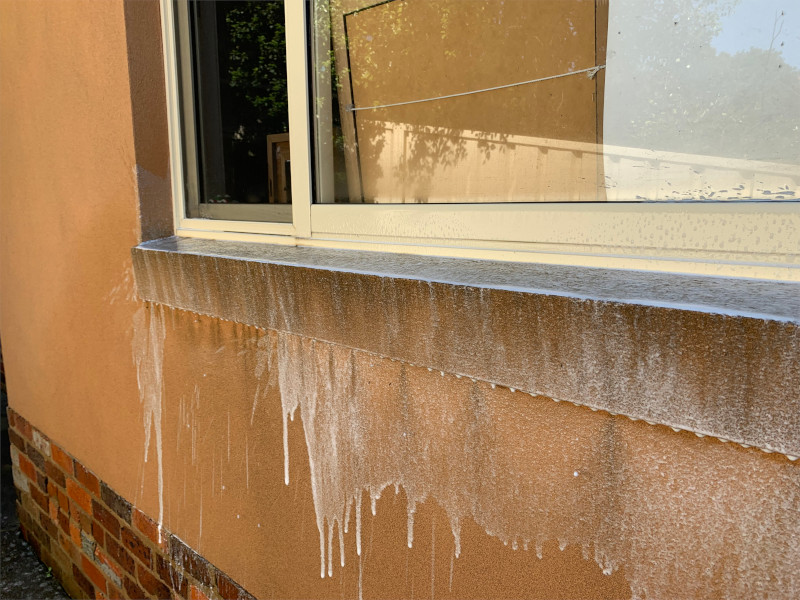 Black and green mould growth on window frame