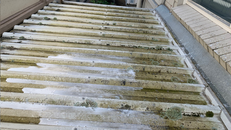 Metal roof sheet being treated with Moss Roof Treatment