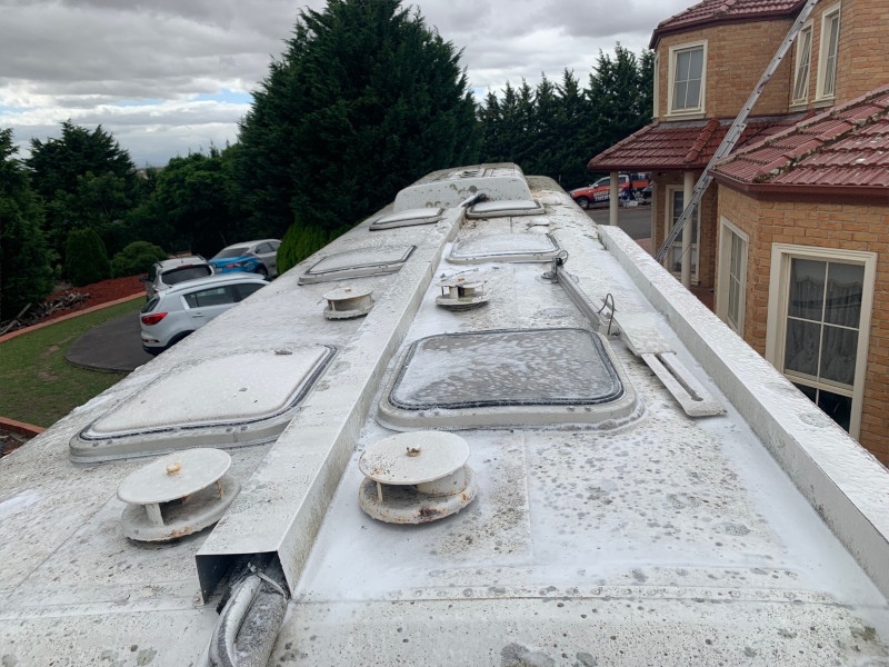 Moss growth on bus or caravan roof before treatment