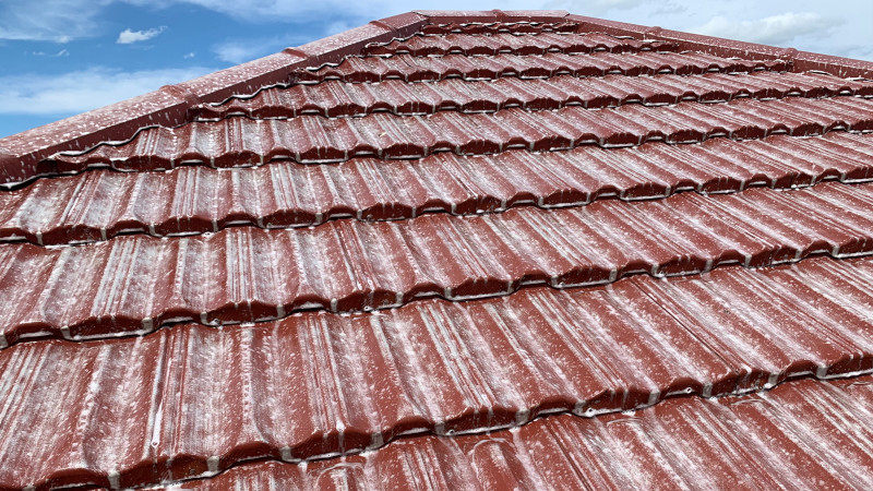 Painted tile roof during moss treatment application