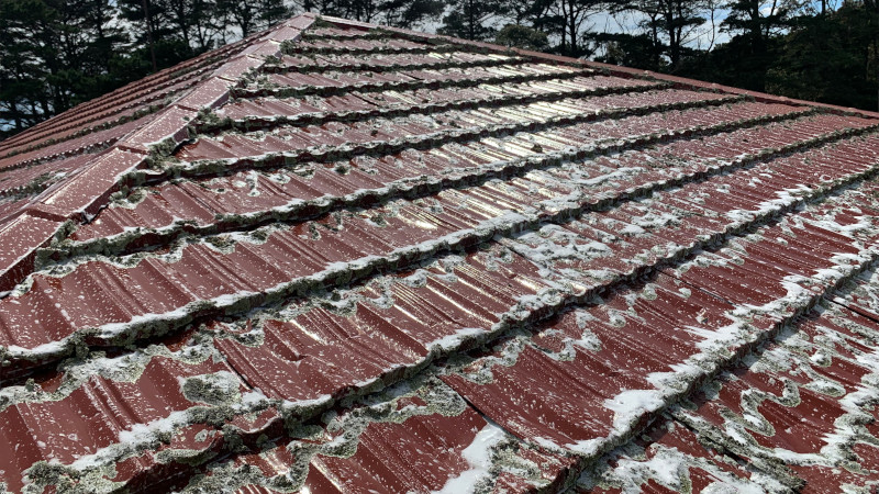 Painted tile roof with moss being treated