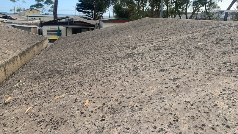 Roof covered in moss and dirt before treatment