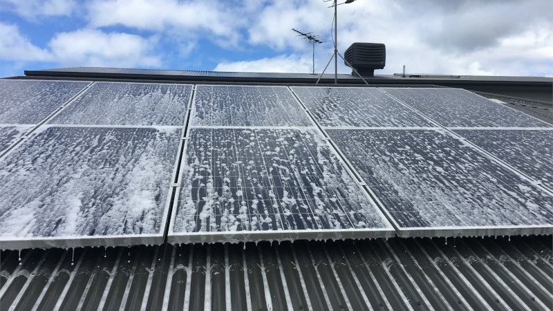 Solar panels sprayed with moss treatment solution
