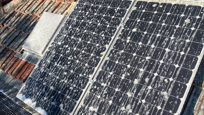 Treated solar panels, 12 months later showing no regrowth
