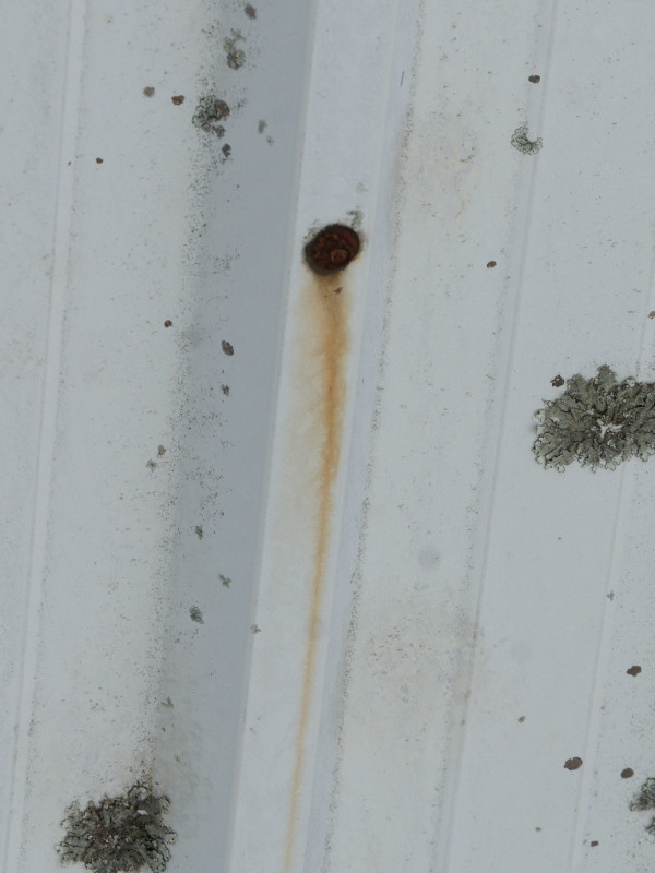 Tech screw rusted due to harsh chemicals