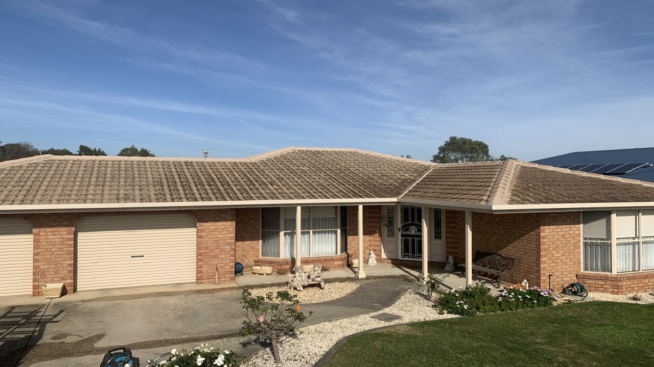 Red cement roof before moss treatment showing moss growth