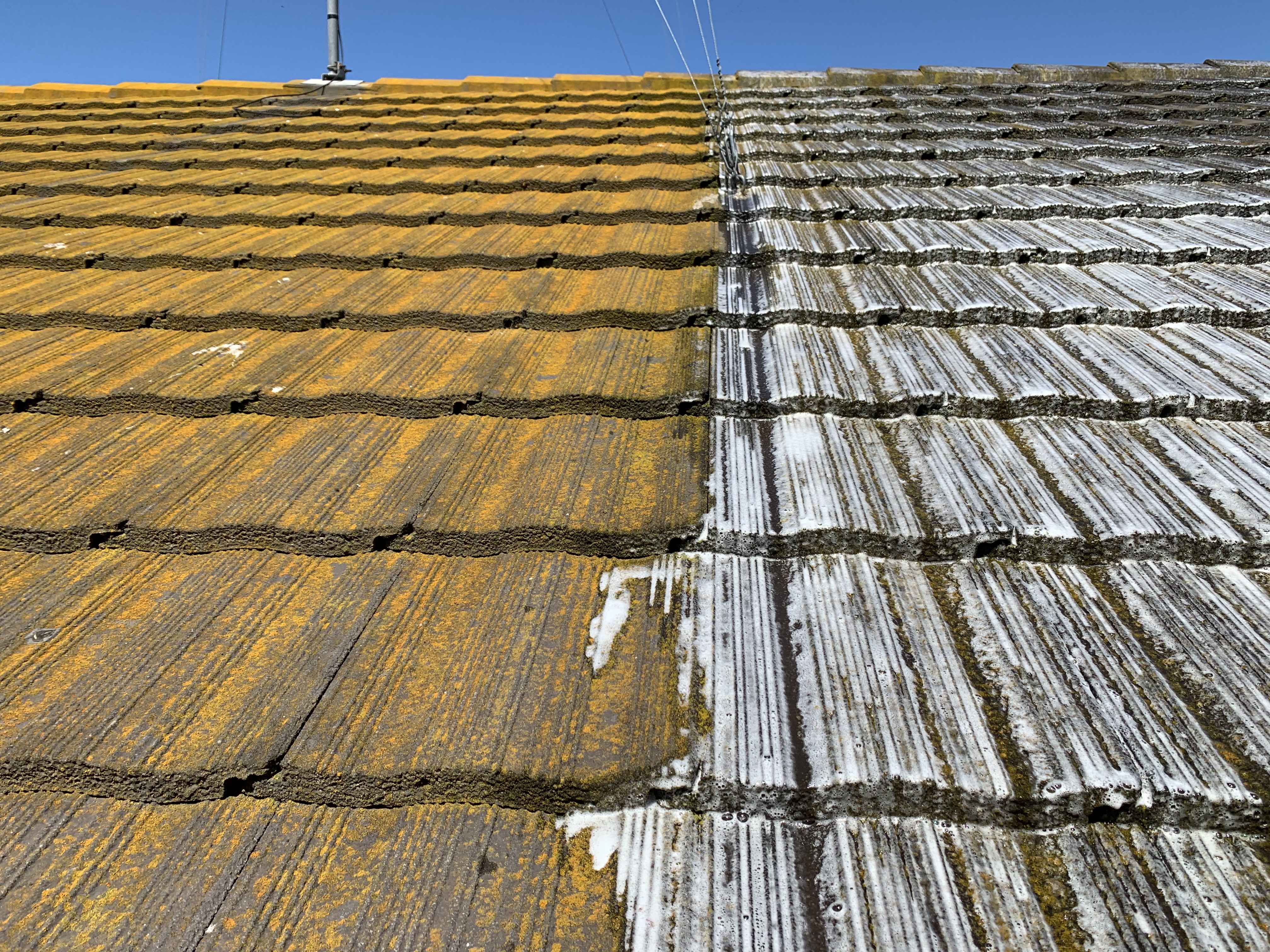 Moss flaking and breaking down on a cement roof