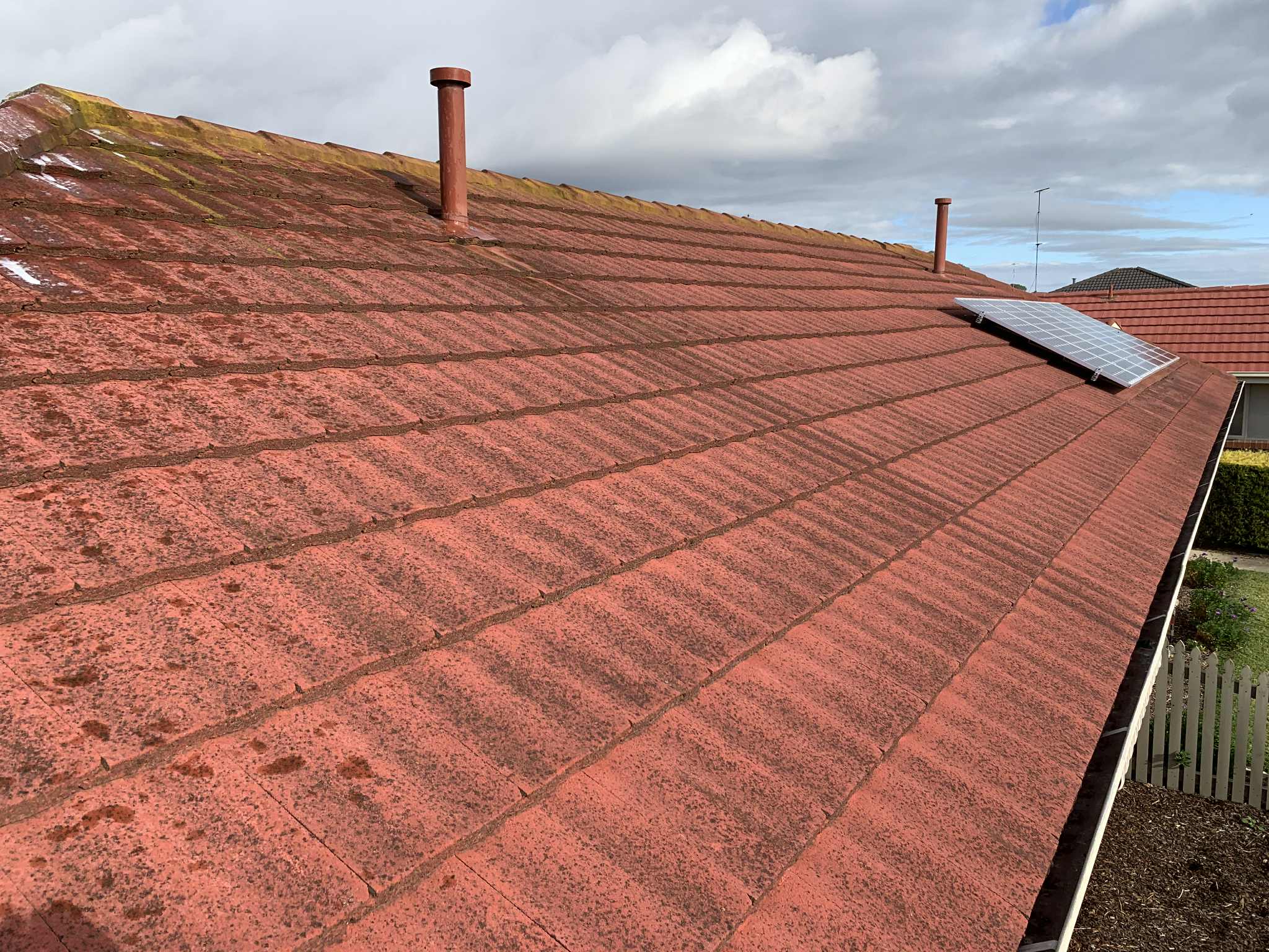 Cement roof before moss treatment showing moss growth