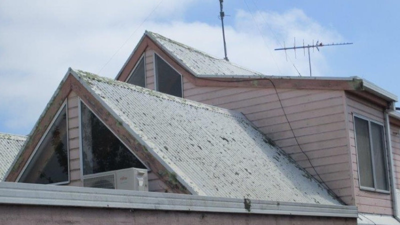 Steep Colorbond roof before moss treatment showing moss growth