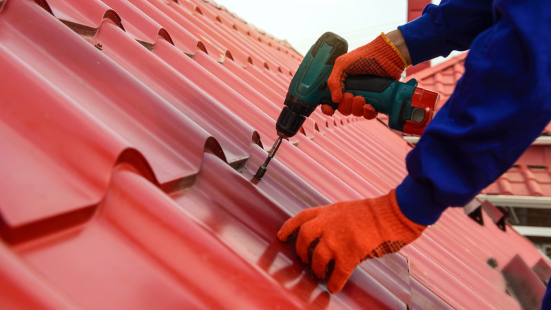 Bird's nest found under cement roof tiles during inspection