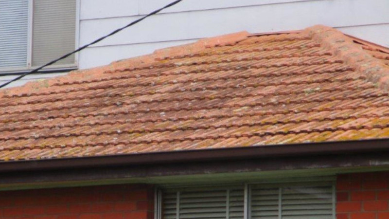 Painted roof before moss treatment showing moss growth