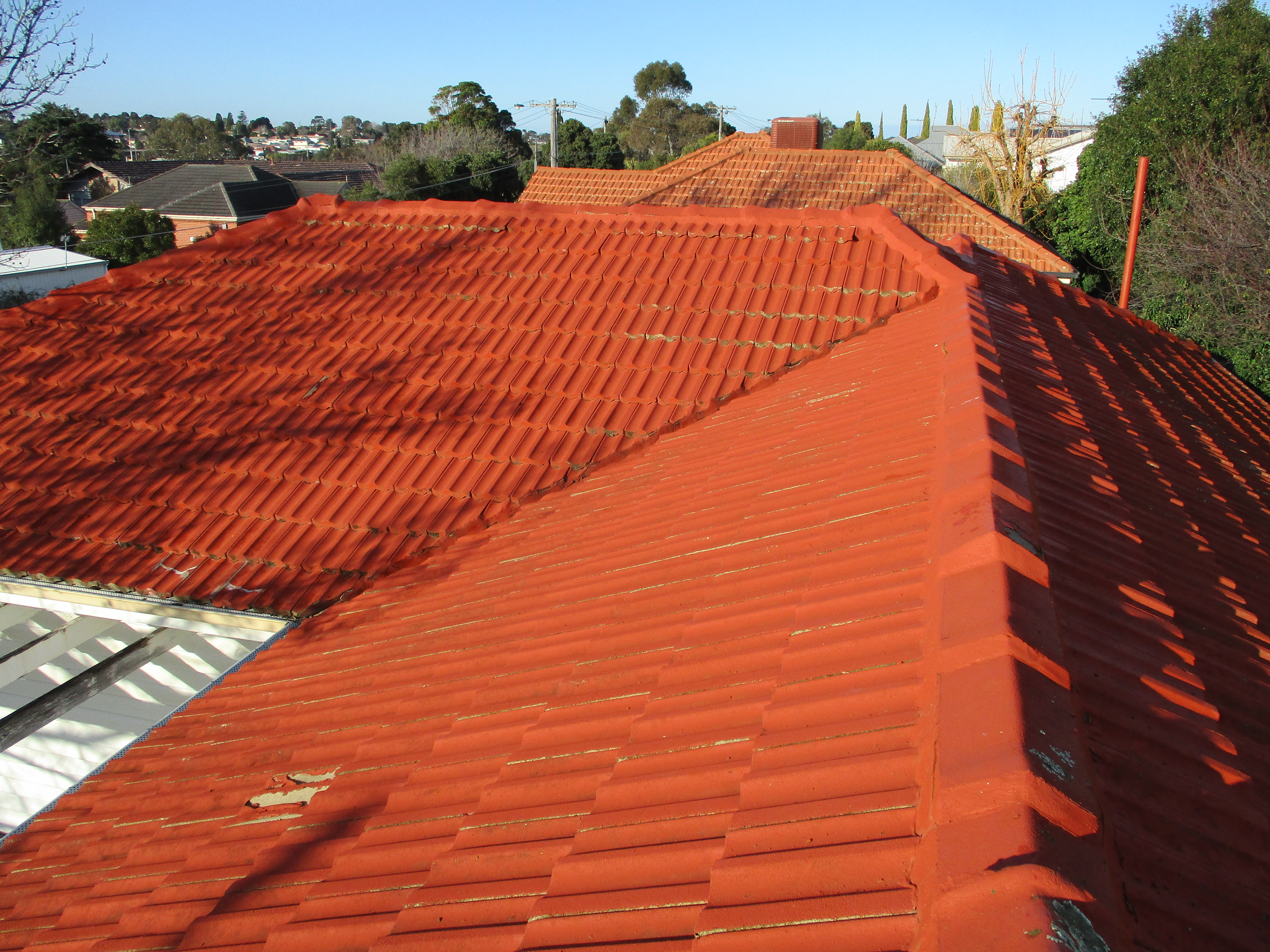 Dying moss and spores on a cement roof after treatment
