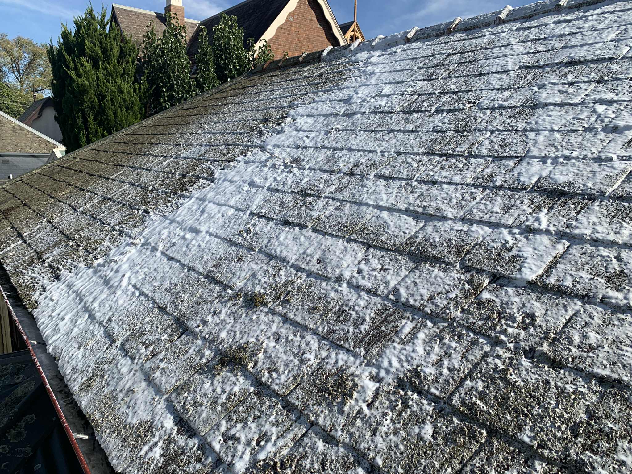 Moss flaking and breaking down on a cement roof
