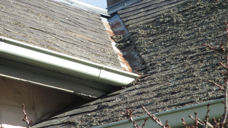 Slate roof valley before moss treatment showing moss growth