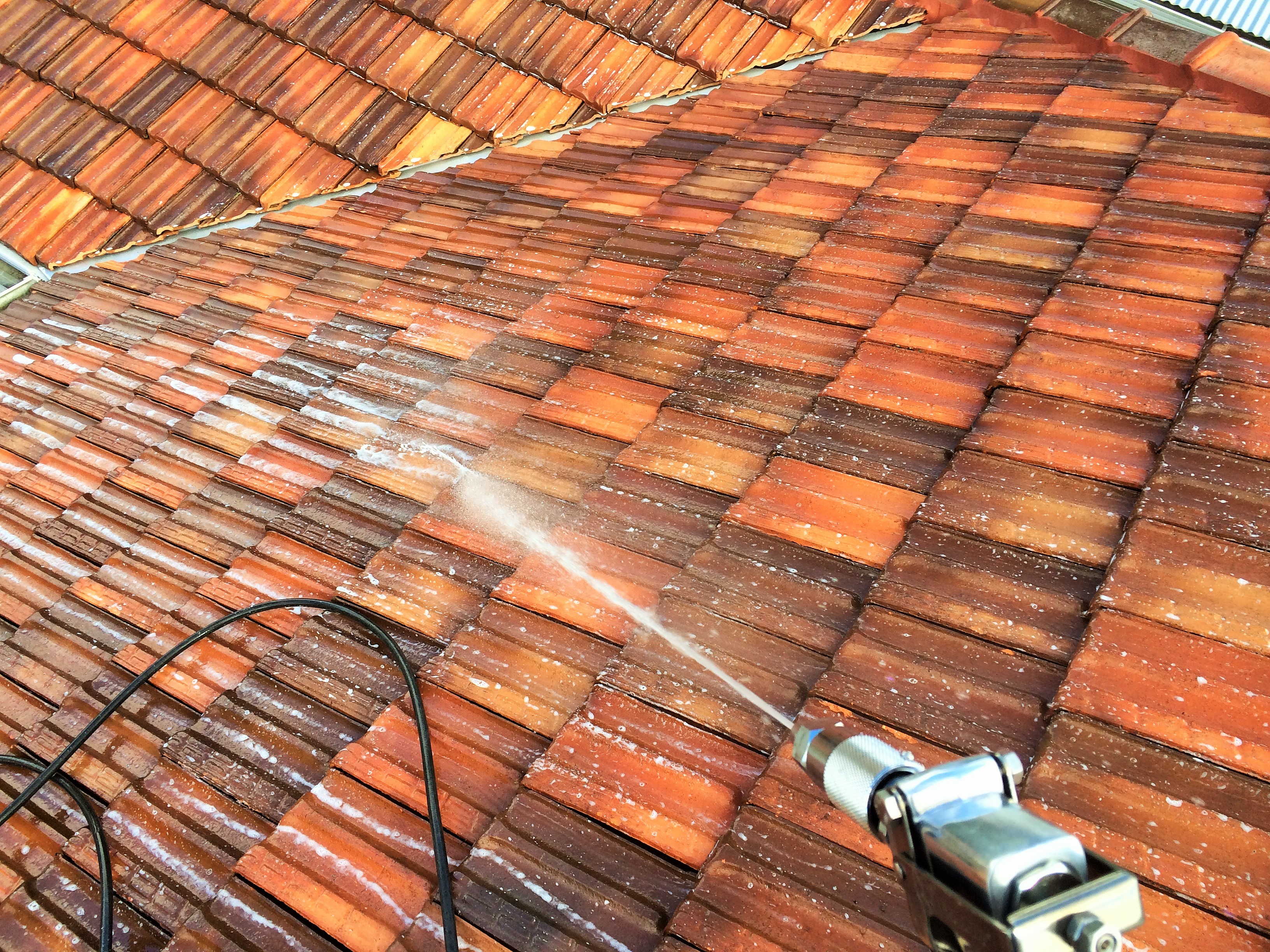 Dying moss and spores on a cement roof after treatment