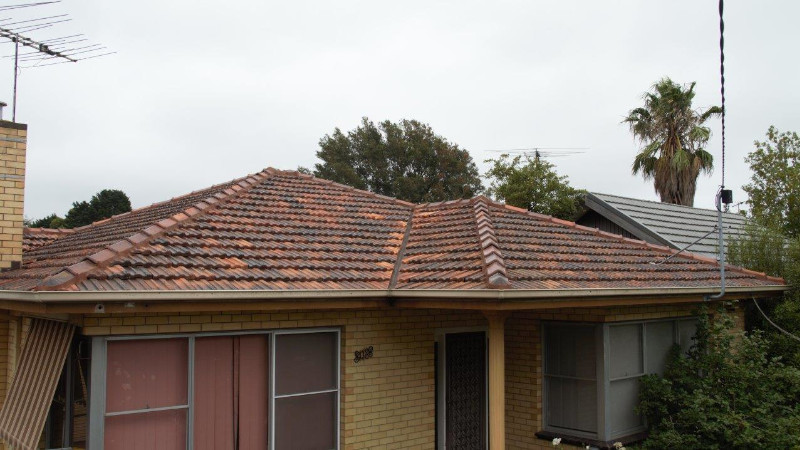 Terracotta roof after moss treatment showing a clean surface