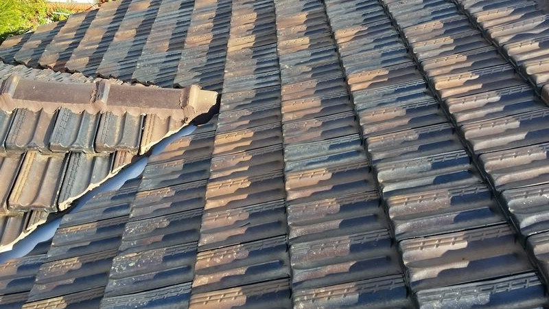 Terracotta roof after moss treatment showing a clean surface