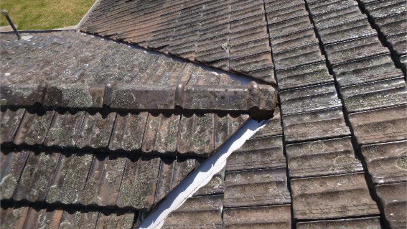 Terracotta roof before moss treatment showing moss growth