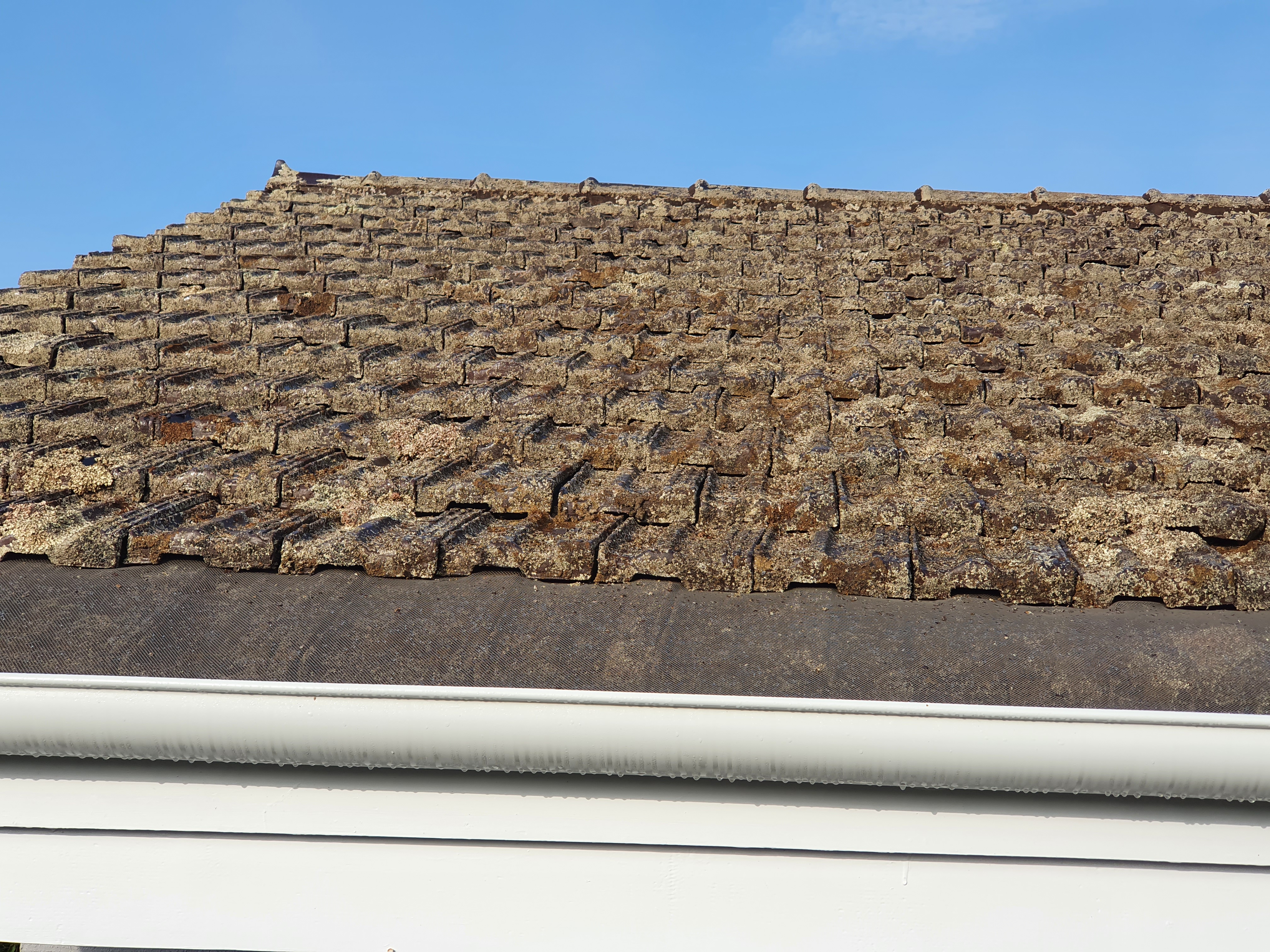 Moss flaking and breaking down on a cement roof